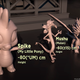 Imagen para el artículo titulado El tamaño de algunos de los dragones más prominentes de la cultura popular, comparado en una animación 3D